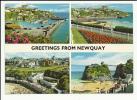 CP -  GREETINGS FROM NEWQUAY - Newquay