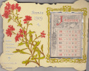 JOLI CALENDRIER A POSER AVEC LES MOIS COMPLETS - Groot Formaat: 1901-20