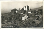 Schloss Wildegg  (3 Karten)            Ca. 1910 - 40 - Wildegg