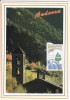 Carte Maximum ANDORRE Fse  N° Yvert  454 (La Nature) Obl Sp  1995 - Maximumkarten (MC)