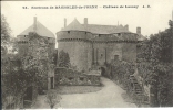53 - LASSAY - Environs De Bagnoles-de-L'Orne -  Château De Lassay - Lassay Les Chateaux