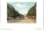 ZS21310 Berlin Brandenburger Gate Used Perfect Shape Back Scan Available At Request - Brandenburger Deur