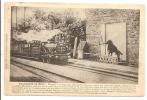 76 -   NEUFCHATEL-en-BRAY  -  Marquis Légendaire Chien Garde-barrière - Train Passant En Gare - Histoire émouvante - Neufchâtel En Bray