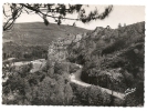 Egletons (19) : La Route De Lamazière Et Basse-neuvic Au Rocher De Servière En 1950  PHOTO VERITABLE. - Egletons
