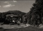 AK Luftkurort Lückendorf Mit Dem Hochwald, 1971 - Oybin