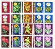 BULGARIA / Bulgarie 1970 Cactuses Set Of 8v.- MNH  Block Of Four - Cactusses