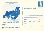 BIRCH COCK, 1977,CARD STATIONERY, ENTIER POSTALE, UNUSED, ROMANIA - Cuculi, Turaco