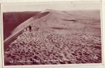 Pyla Sur Mer      La Grande Dune Du Sabloney - Other & Unclassified