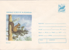 SQUIRELL, 1977, COVER STATIONERY, ENTIER POSTAUX, UNUSED, ROMANIA - Roedores