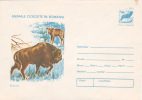 ZIMBRU, 1977, COVER STATIONERY, ENTIER POSTAUX, UNUSED, ROMANIA - Vaches