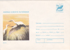 BIRDS, CYGOGNES, 1977, COVER STATIONERY, ENTIER POSTAUX, UNUSED, ROMANIA - Zwanen