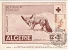 S-AN L7 - ALGERIE Carte Maximum Croix-rouge Avec Timbre Fennec De 1957 - Tarjetas – Máxima