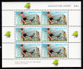 New Zealand Scott #B81a MNH Miniature Sheet Of 6: Boys Playing Soccer - Unused Stamps