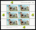 New Zealand Scott #B81a MNH Miniature Sheet Of 6: Boys Playing Soccer - Ungebraucht