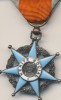 MEDAILLE  Croix Du Mérite Social - Professionnels / De Société