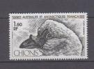 Terres Australes Et Antarctiques Françaises YV PA 67 N 1981 Chionis - Seagulls