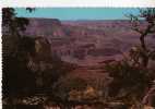 CPM       ARIZONA   1971        GRAND CANYON NATIONAL PARK      MORAN POINT - Grand Canyon