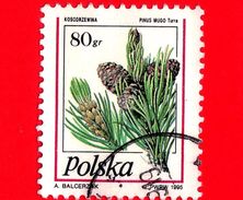 POLONIA - POLSKA - Usato - 1995 - Pinus Mugo - 80 Gr - Oblitérés