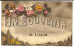 LIVAROT - Carte Souvenir - Livarot