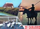 EN CAMARGUE -  Souvenirs - Multivues - Altri