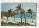 PO2028B# BARBADOS - SOUTH COAST BEACH  VG 1969 - Barbados (Barbuda)