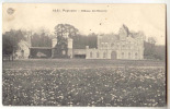 D6197 -  PEPINSTER - Château Des Mazures - Pepinster