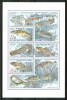 1998 Slovacchia Fauna Pesci Fishes Fische Poissons Block MNH** C83 - Ungebraucht