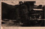 AK Schwarzburg - Schweinerhaus Am Schwarzatal (um 1935) - Bad Blankenburg