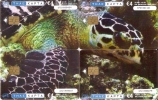 PUZZLE DE 4 TARJETAS DE GRECIA DE UNA TORTUGA (TURTLE) - Puzzles