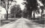 Marengo IL Illinois, East Grant Highway View On C1940s/50s Vintage Real Photo Postcard - Autres & Non Classés