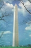 The Washington Monument - Washington DC