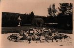 AK Kurort Bärenfels/Erzgebirge, Kurpark, 1959 - Kipsdorf