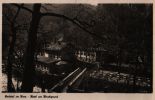 AK Bodetal/Harz, Hotel Am Hirschgrund, 1953 - Thale