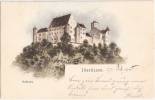 Illertissen Schloß Nahe Ulm Signiert Künstler Eugen Felle Color Litho 27.2.1905 - Neu-Ulm