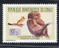 Congo 2011 - Pedetes Capensis And Owl, 1 Stamp, MNH - Nager