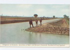 Australie, Irrigation In Victoria, Junction Of Main And Branch Channels, Goulburn River System, Canaux - Sonstige & Ohne Zuordnung