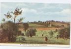 Australie, A Typical Victorian Farm Homestead. Ferme, Agriculture, Victoria - Otros & Sin Clasificación
