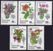 Russia 1993 Indoor Plants Flowers Flower Chinese Hibiscus Persian Persian Cyclamen Plant Nature MNH Michel 296-300 - Verzamelingen