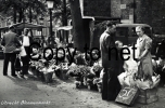 DUTCH REAL PHOTO POSTCARD ULTRECHT FLOWERS MARKET NL NETHERLAND CARTE POSTALE - Zeist