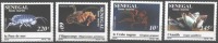 SENEGAL  - FAUNE MARINE - CRBS -  **MNH - 1989 - Other & Unclassified