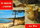 St Brevin Les Pins  ** Belle Carte Plate Et Rigide**  - Ed Adia N°756 (26-07-1971) - Saint-Brevin-les-Pins