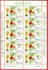 Moldova, Moldawien, Moldavie, Stamp Sheetlet, Football FIFA 2006 Germany - 2006 – Germania