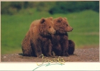 Deux Ours - Souvenir  Canada - Bären