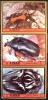 AJMAN: Insectes (serie 84/86).  3 Valeurs Neuves Sans Charniere. MNH - Sonstige & Ohne Zuordnung
