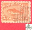 Canada  Newfoundland # 48 Scott /Unisafe - O - 2 Cents - Codfish - Dated 1880-96 / Terre-Neuve - Morue - 1865-1902