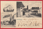 GREIFENSEE, LICHTDRUCK 1902 - Greifensee