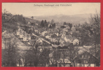 ZOFINGEN AMSLERGUT UND FINKENHERD - Zofingen