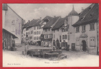 BRUGG, HOFSTATT, LICHTDRUCK 1913 - Brugg