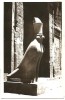 CPA - EDFU - THE SACRED HAWK OF HORUS - Edition ? - Idfu