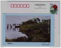 Tea Picking,China 1999 Beiling Landcape Advertising Pre-stamped Card - Other & Unclassified